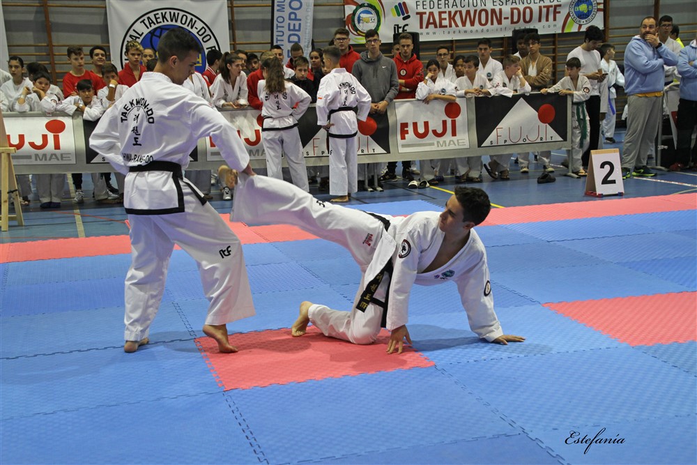 Copa Seul 2018 (349).jpg